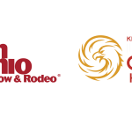 Rodeo Casino – Jouez plus malin au Canada