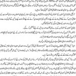 Lotay (An Article by Orya Maqbool Jan)