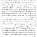 Atheists in Islamic World