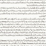 Nano Technology and Dajjal…