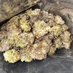 What exactly where can i buy pot is Shake Weed? Pros, Cons & How to Make the Most of It