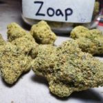 Ice Cream Cake THCA Kief cheapest weed 29 8% Potency Premium Indica Kief