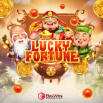 FortunateHills Casino Offers Premier Gambling Adventure in Canada