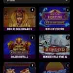 Big Lucky Casino Accepted Payment Currencies and Supported Languages for Canada Players