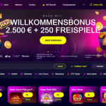 Het Slotoro Casino Spelaanbod Geëvalueerd een Nederlandse Liefhebber